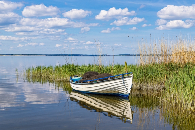 Una pequeña embarcación descansa junto a unos juncos verdes en una tranquila bahía en un día soleado